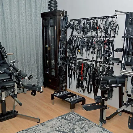Lägenhet Alba Domina - Bdsm Fetish Domina Székesfehérvár